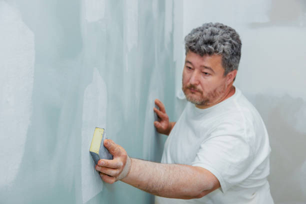 Best Water-Damaged Drywall Repair  in Tainter Lake, WI